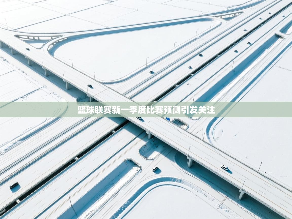 篮球联赛新一季度比赛预测引发关注  第2张