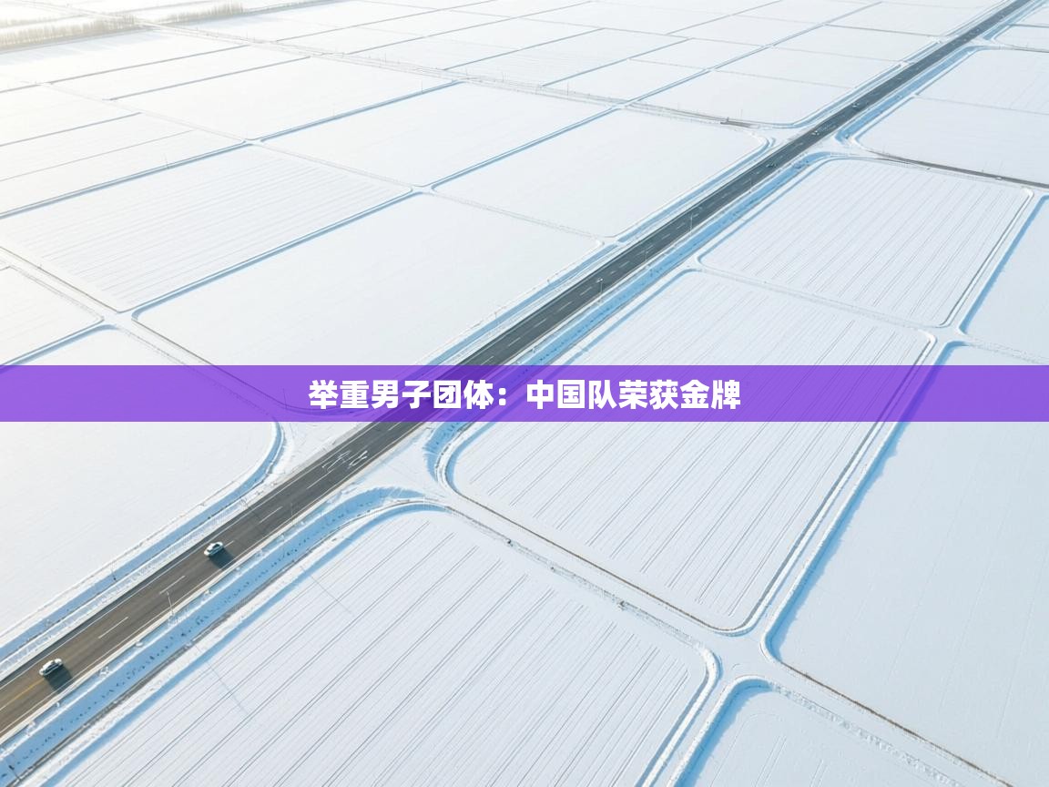 举重男子团体：中国队荣获金牌  第1张