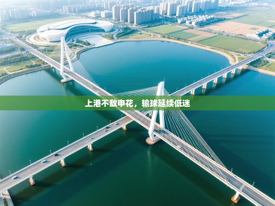 上港不敌申花，输球延续低迷  第2张