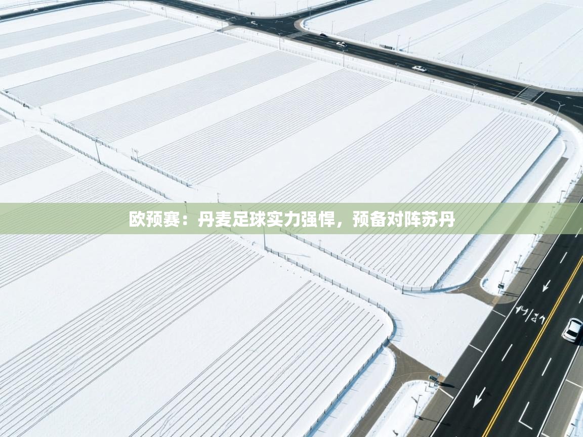 欧预赛:丹麦足球实力强悍,预备对阵苏丹 第1张