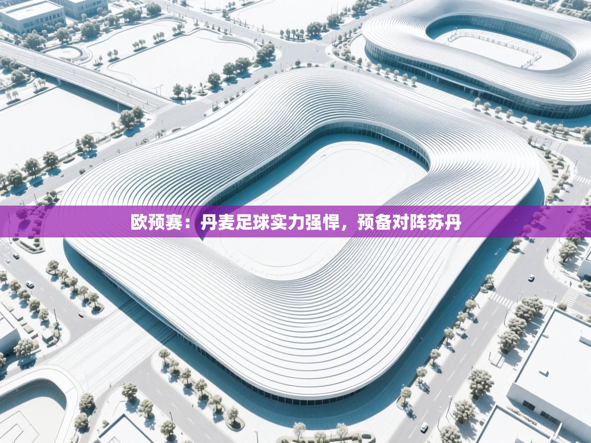 欧预赛:丹麦足球实力强悍,预备对阵苏丹 第2张