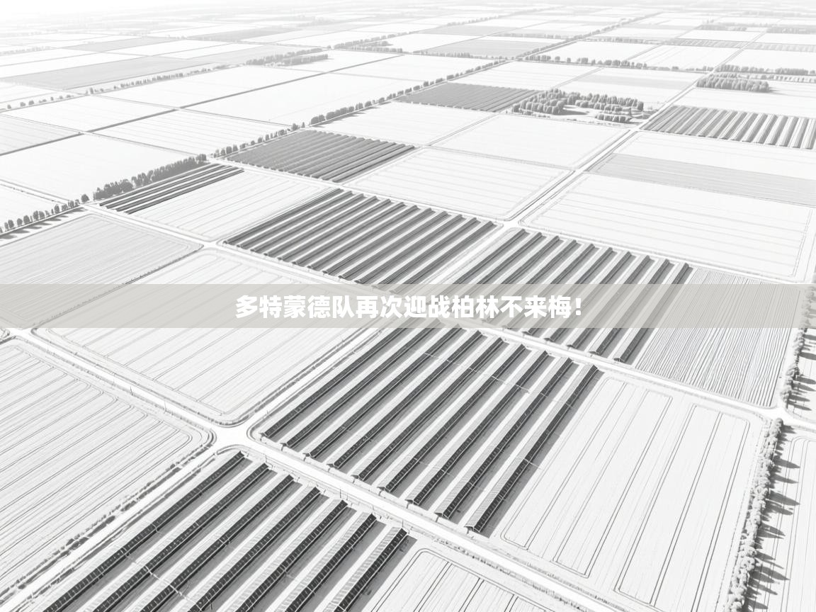 多特蒙德队再次迎战柏林不来梅！  第1张