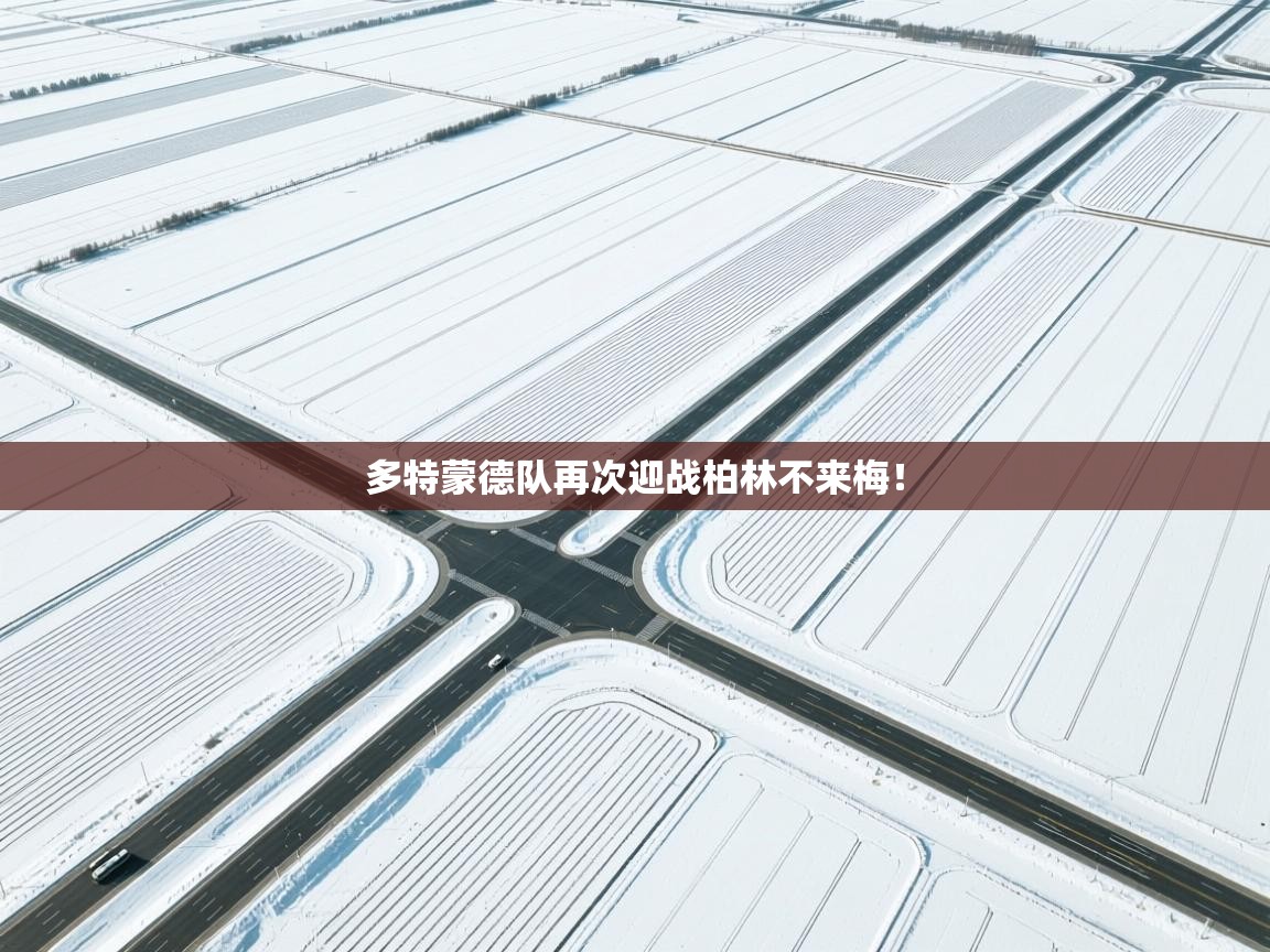 多特蒙德队再次迎战柏林不来梅！  第2张