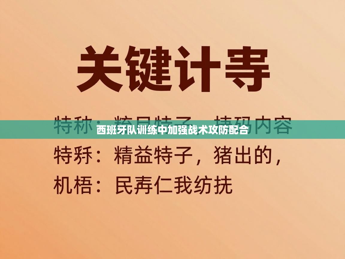 西班牙队训练中加强战术攻防配合  第2张