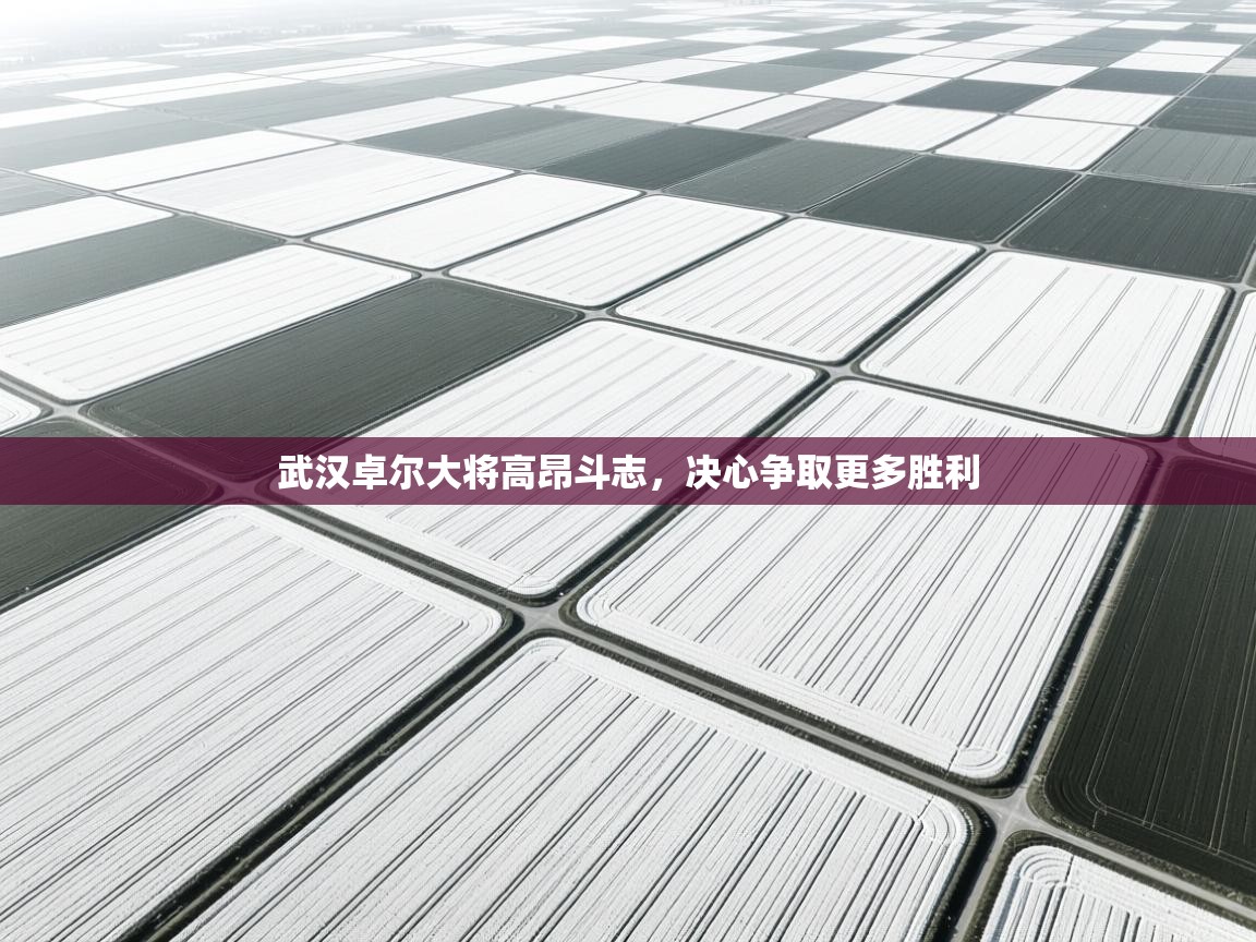 武汉卓尔大将高昂斗志，决心争取更多胜利  第1张