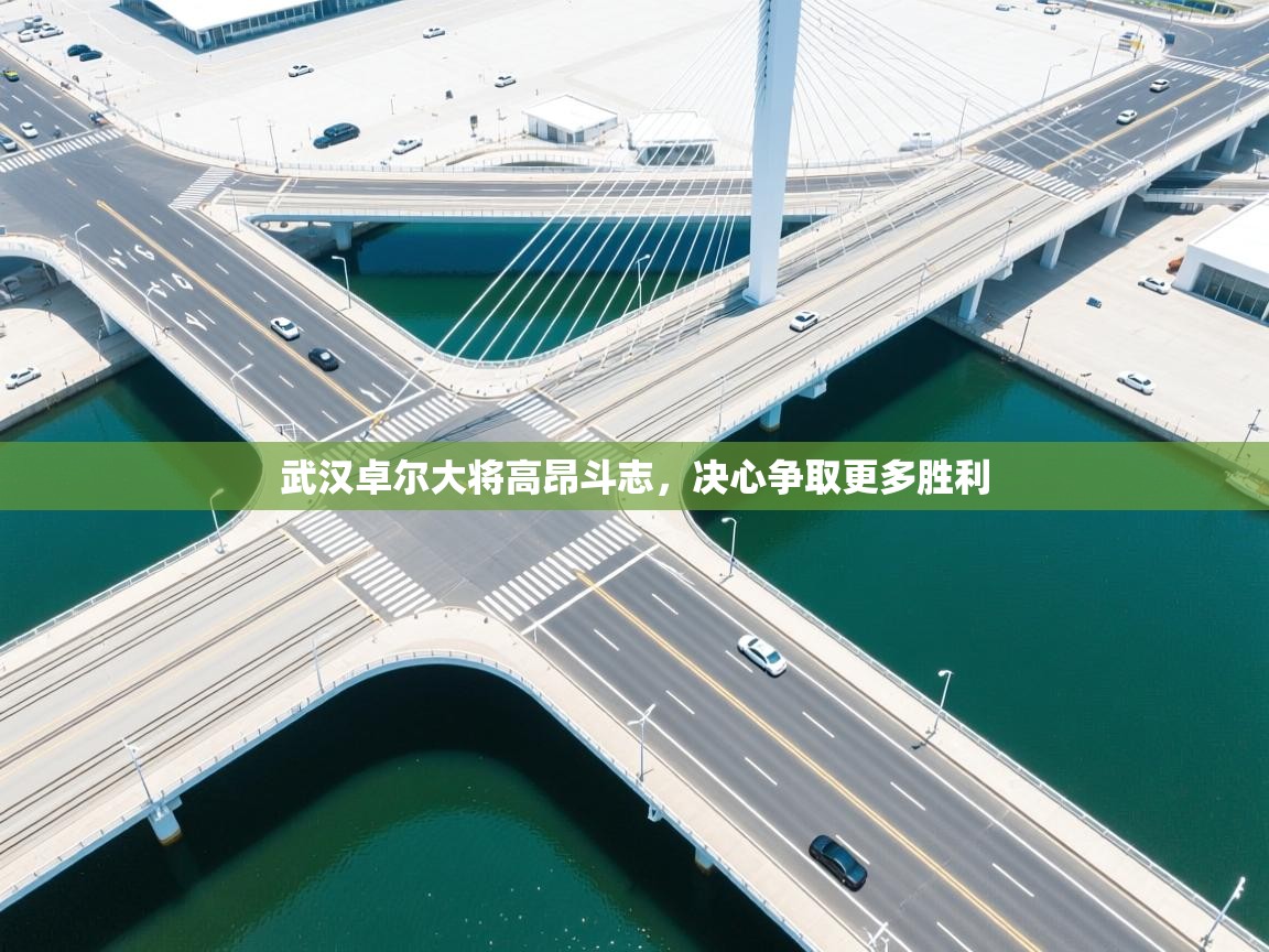 武汉卓尔大将高昂斗志，决心争取更多胜利  第2张